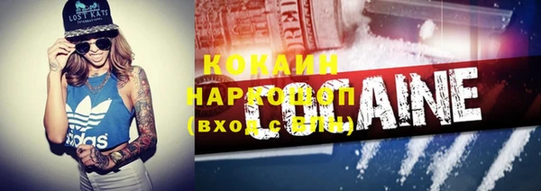 амф Ладушкин