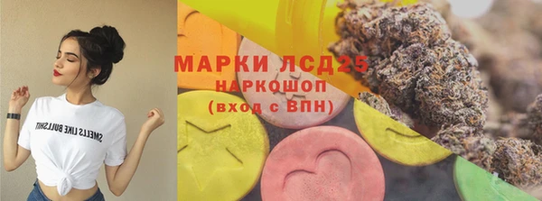 амф Ладушкин