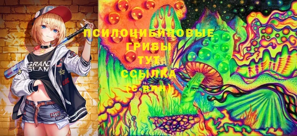бошки Лабытнанги