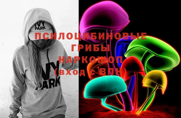 бошки Лабытнанги