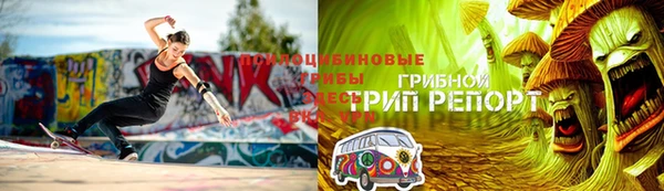 бошки Лабытнанги