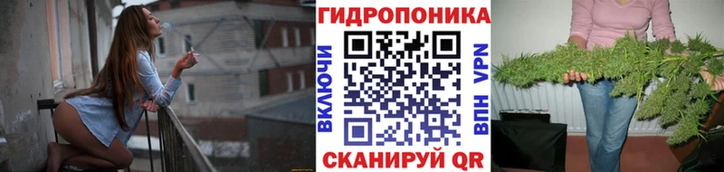 Канабис индика  Купить закладки  Чёрмоз 